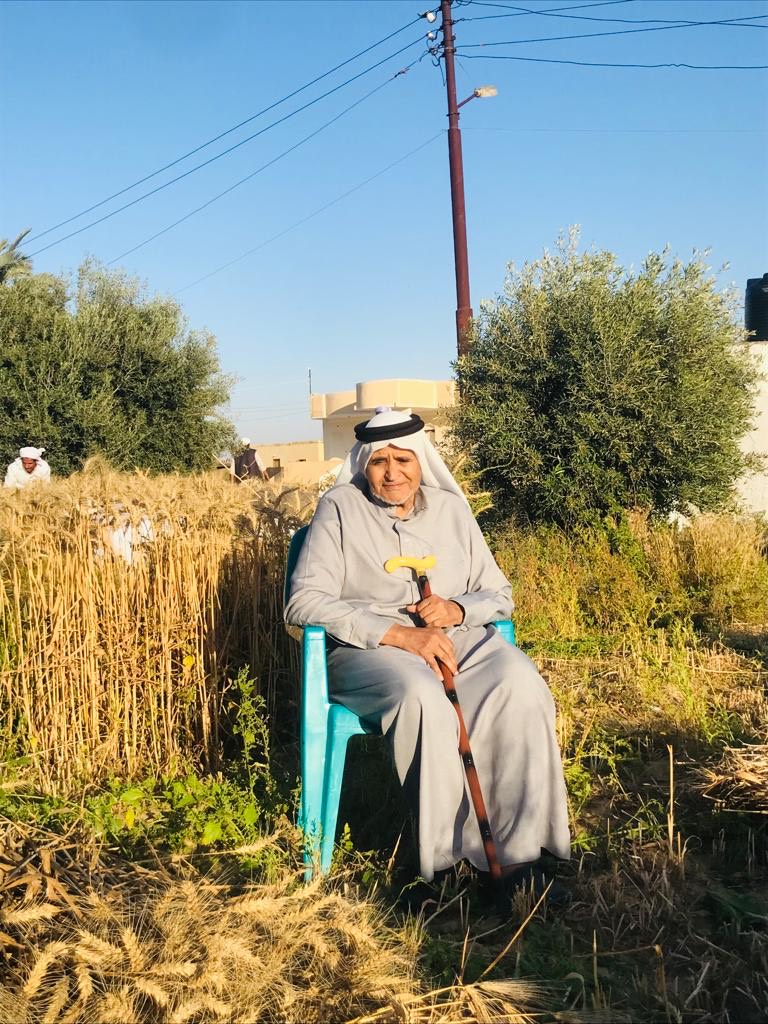 إنطلاق موسم حصاد القمح والشعير المزروع على مياه الأمطار بقرى الشيخ زويد (4)