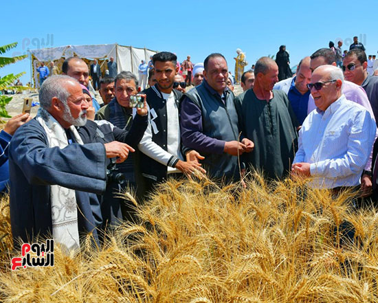 محافظ-بورسعيد-خلال-حصاد-القمح