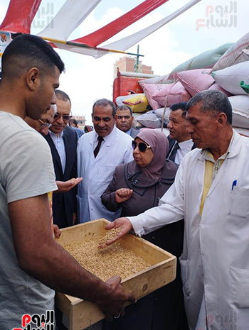 المحافظ-يتابع-توريد-القمح-للصوامع