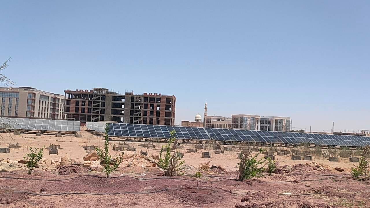 أكبر محطة طاقة شمسية لتشغيل المجمع الحكومي المميكن بالوادي الجديد (11)