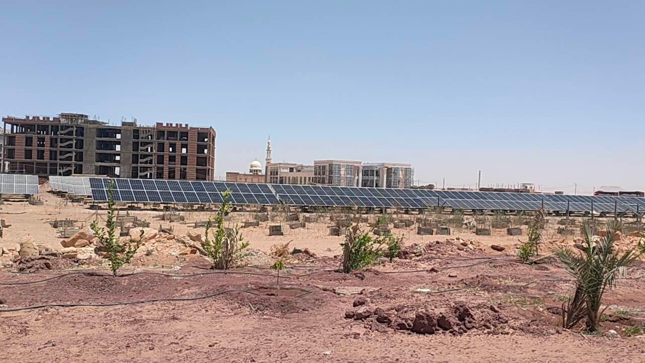 أكبر محطة طاقة شمسية لتشغيل المجمع الحكومي المميكن بالوادي الجديد (6)
