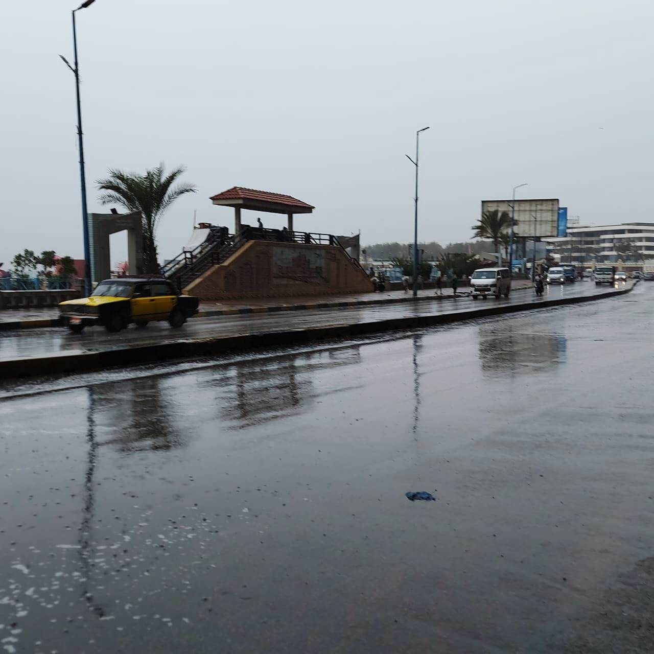 هطول أمطار غزيرة شرق الإسكندرية مع نشاط فى حركة الرياح (8)