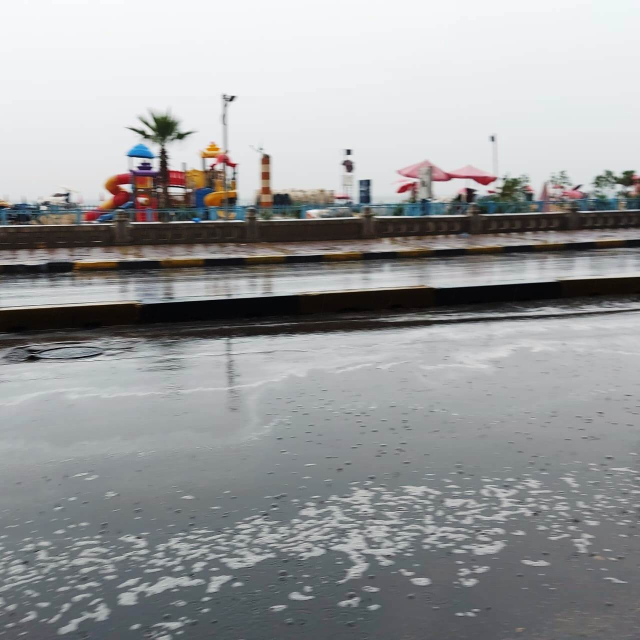 هطول أمطار غزيرة شرق الإسكندرية مع نشاط فى حركة الرياح (10)