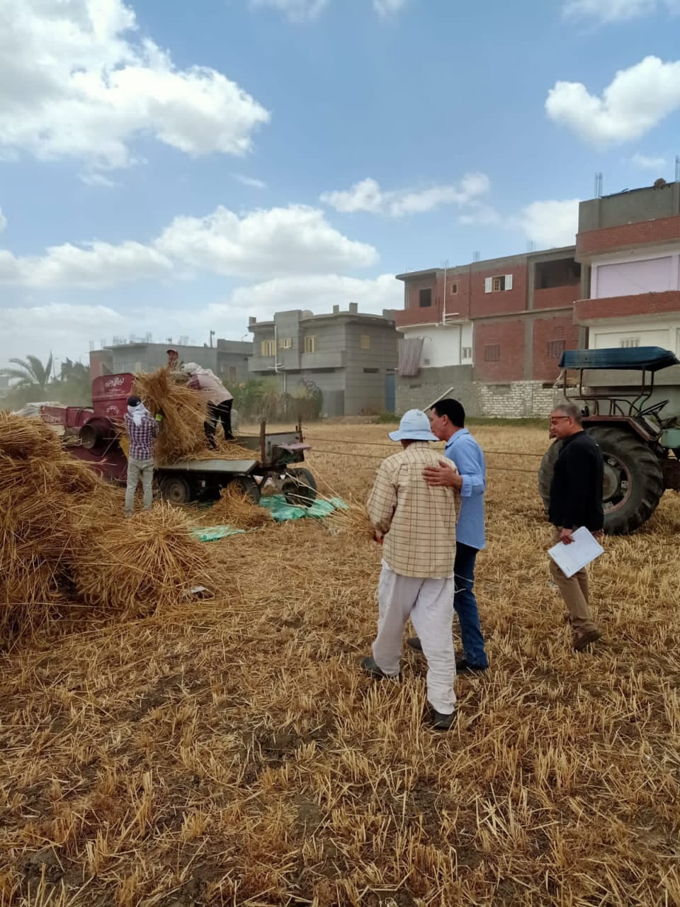 عمل محافظة البحيرة لتنظيم عمليات توريد محصول القمح للعام الجديد (6)