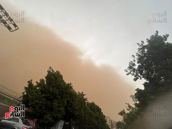 عاصفة ترابية (11)