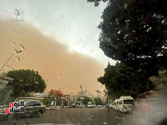 عاصفة ترابية (12)