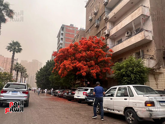 عاصفة ترابية (9)