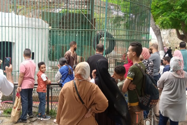 إقبال المواطنين علي حديقة الحيوان بالإسكندرية