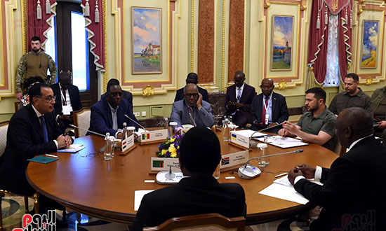 لقاء رؤساء المبادرة الأفريقية المشتركة مع الرئيس الأوكراني‎ (6)