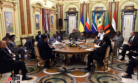 لقاء رؤساء المبادرة الأفريقية المشتركة مع الرئيس الأوكراني‎ (7)