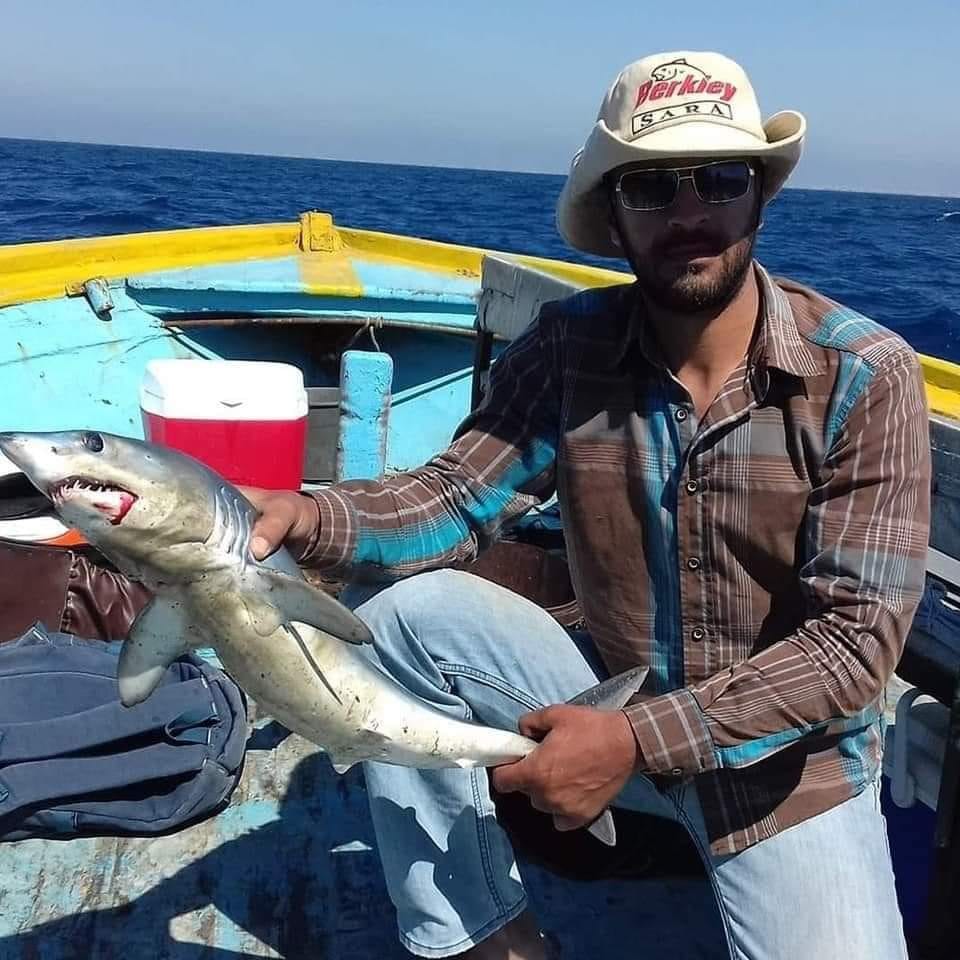 الصور المتداول لصيد اسماك القرش بالاسكندرية (1)