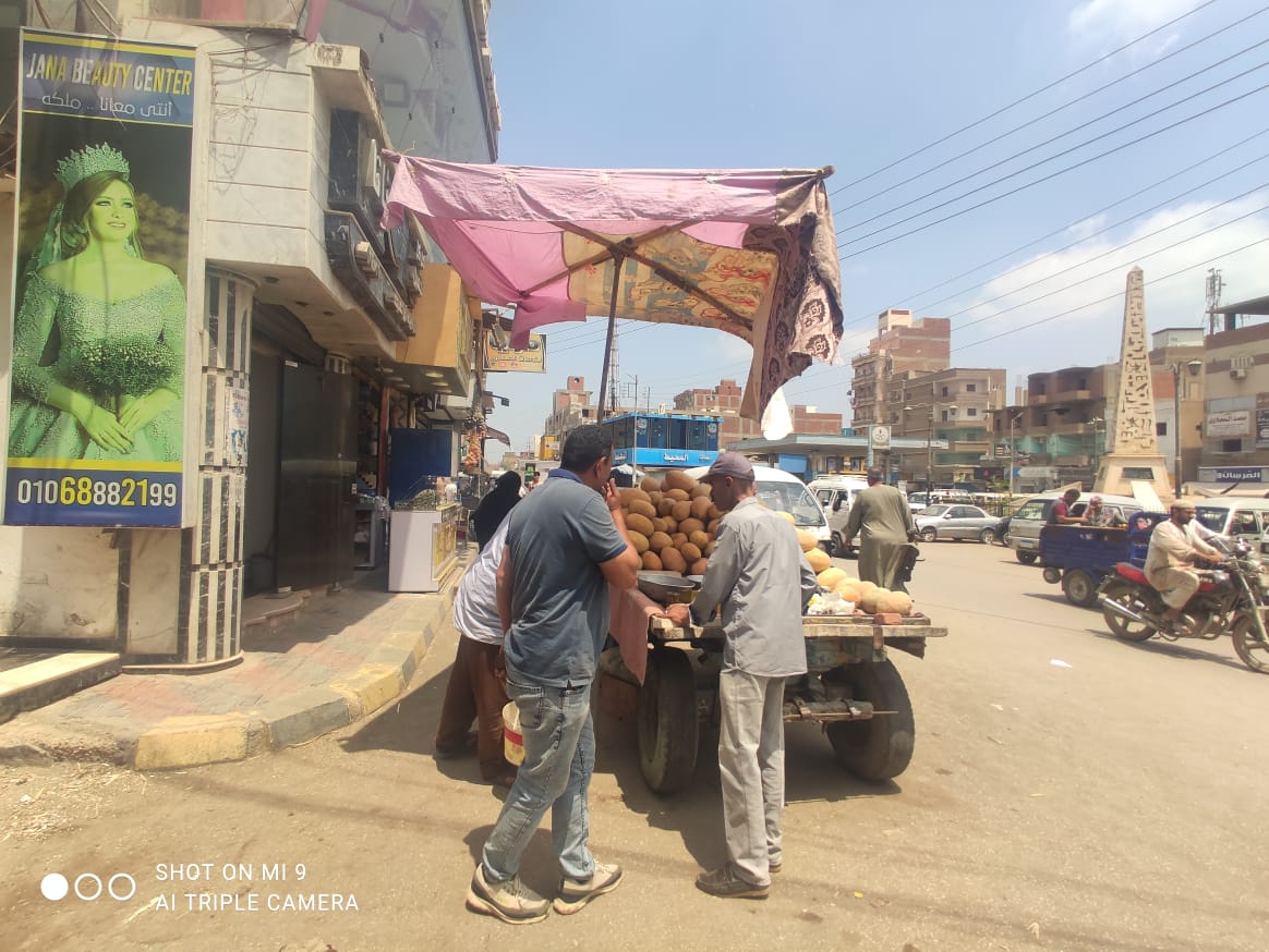 رفع  20 حالة إزالة فورية وتحرير 10 محاضر فى حملة للاشغالات بالمنوفية (5)