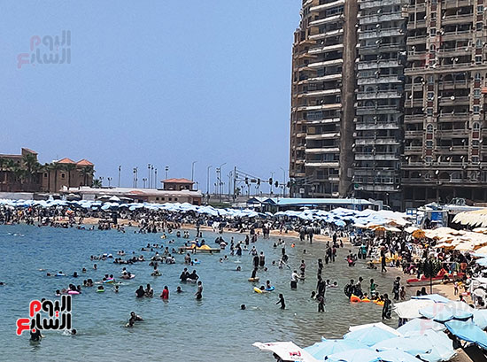 اقبال-كبير--علي-شواطئ--الإسكندرية