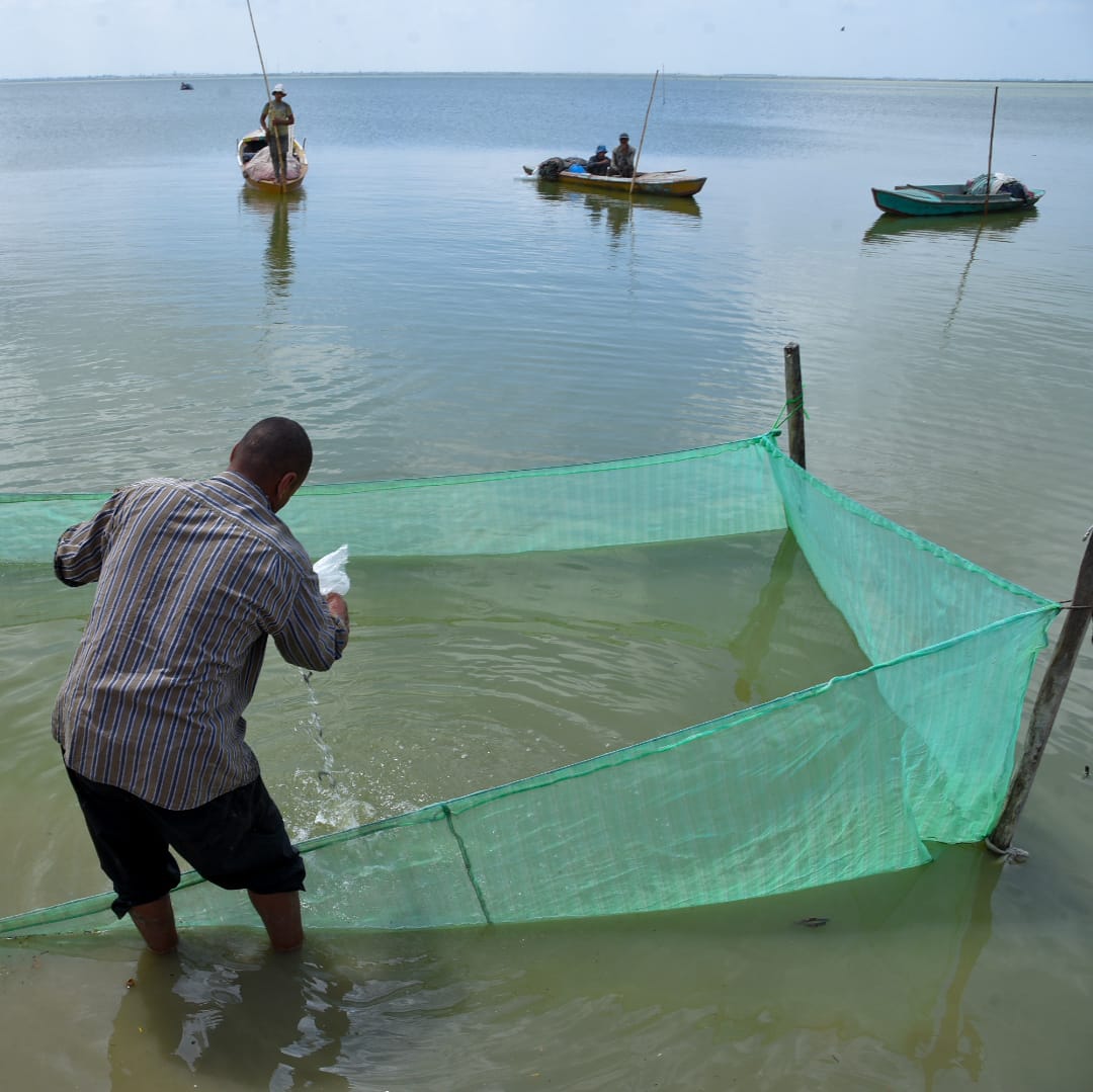 الصيادين ببحيرة مريوط