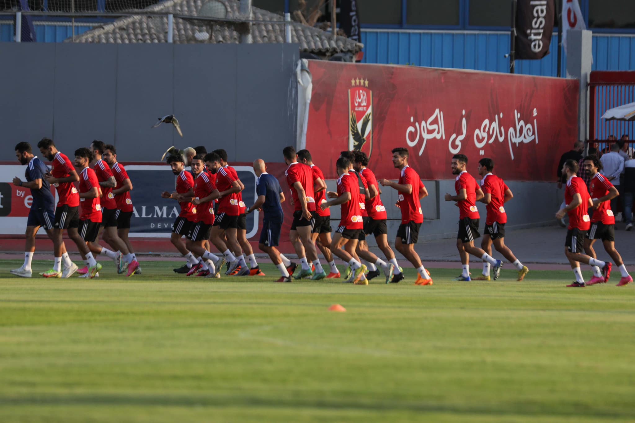 الاهلي (6)