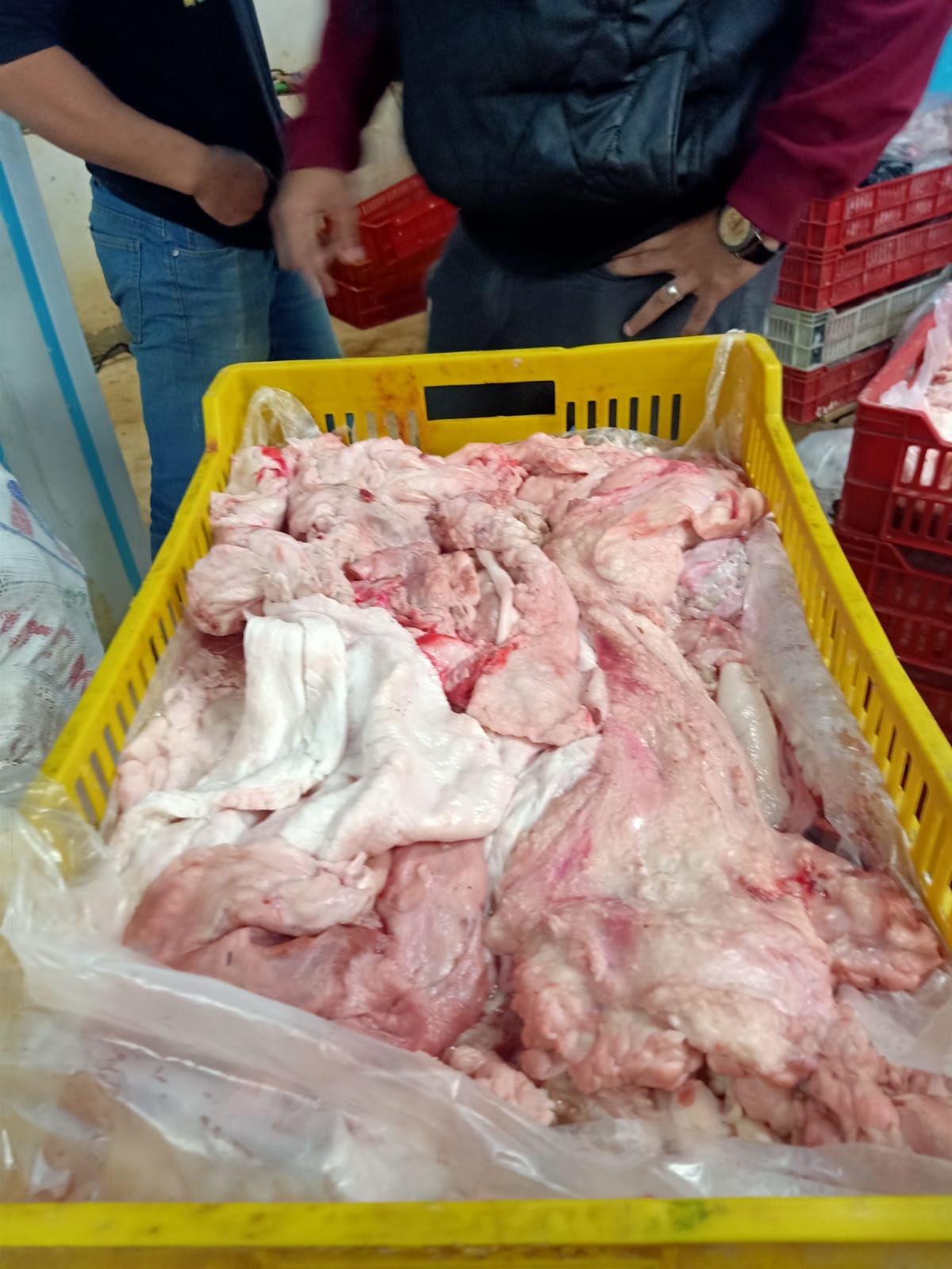 حملات تفتيشية على أسواق عرض اللحوم بالجيزة (4)