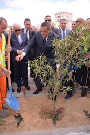 جانب من المبادرة الرئاسية 100 مليون شجرة بالبحيرة (3)