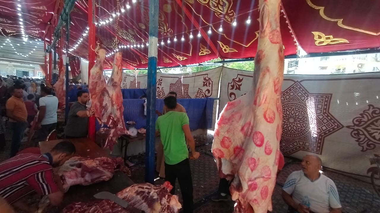 الرئاسية معا ضد الغلاء تدشن أضخم معارض بيع اللحوم البلدية  (1)