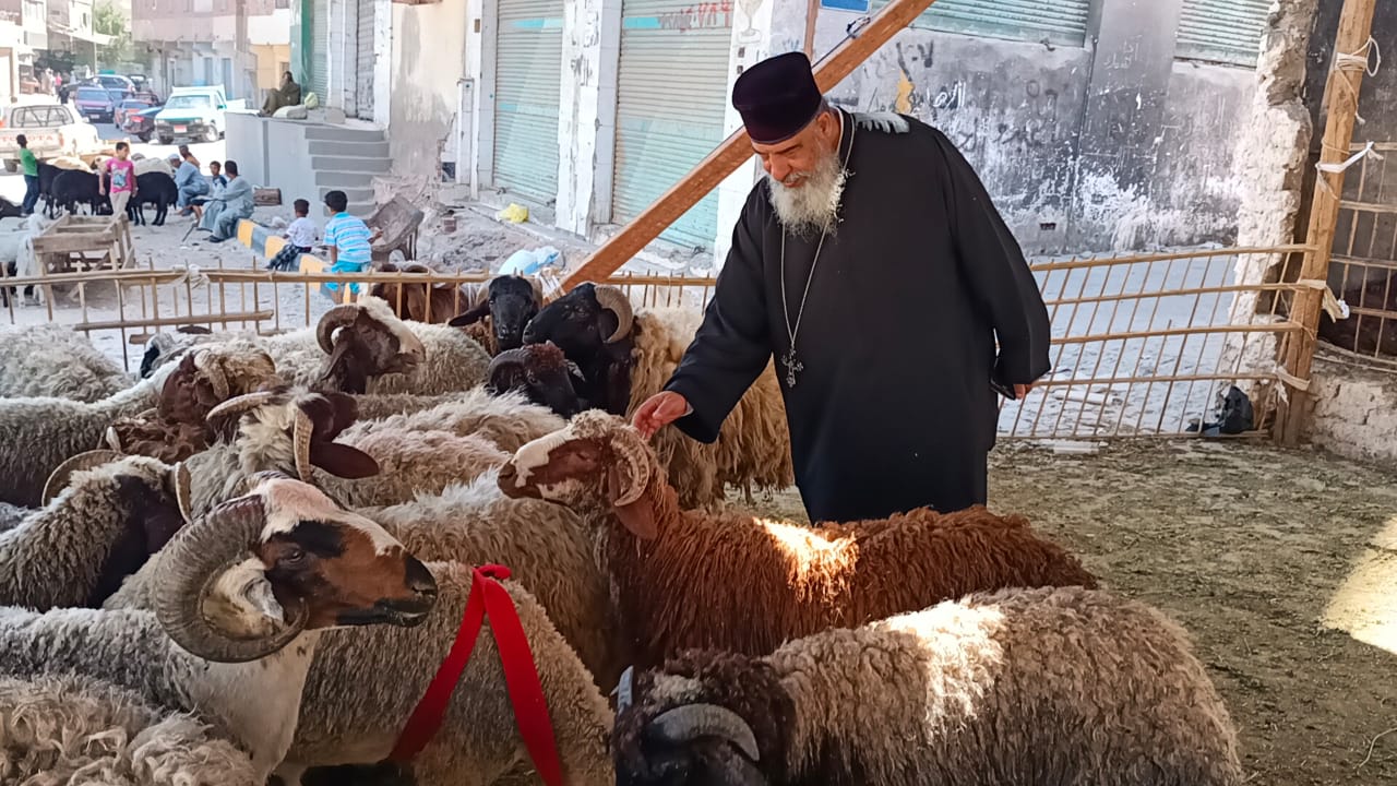 راعى الاقباط الكاثوليك يشترى خروف العيد