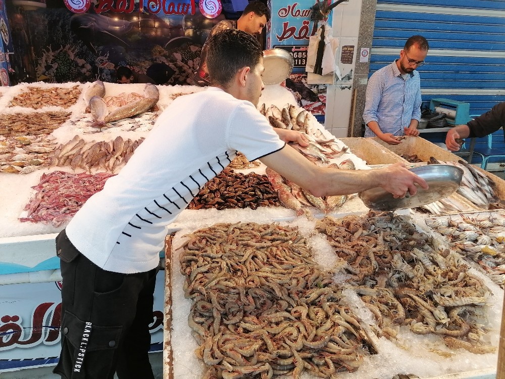 محلات بيع الأسماك في بورسعيد