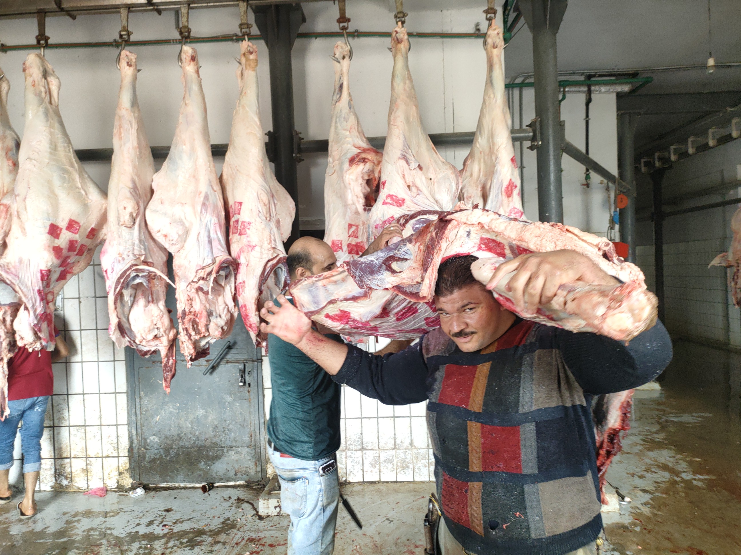 اللحوم داخل مجزر عبد القادر بالإسكندرية