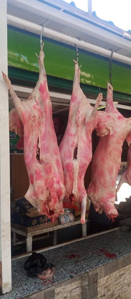 منافذ الوزارة الثابتة والمتحركة بالشوارع الرئيسية (8)