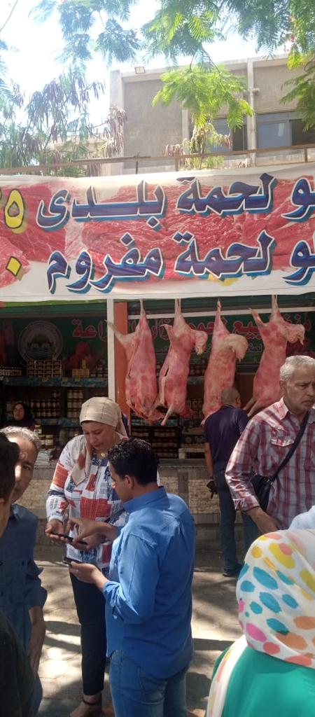 منافذ الوزارة الثابتة والمتحركة بالشوارع الرئيسية (5)