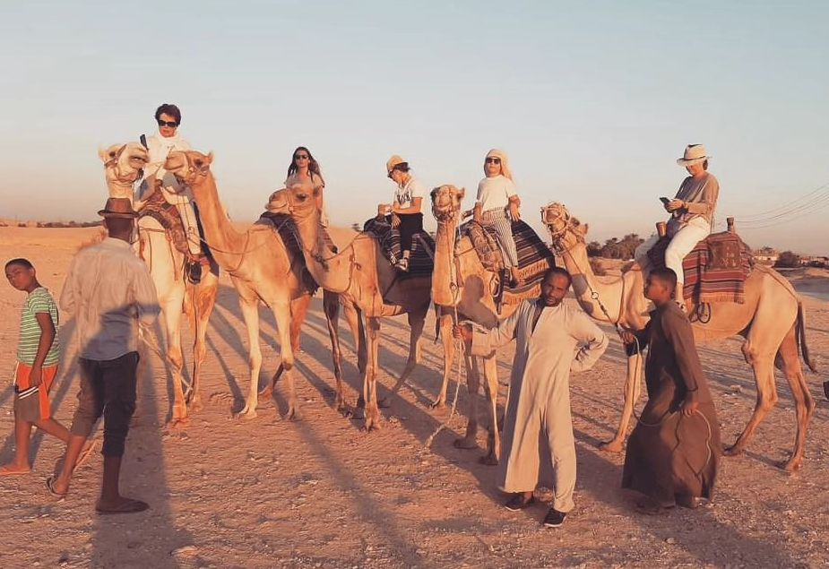 استمتاع الأجانب في رحلات بالجمال غرب الأقصر