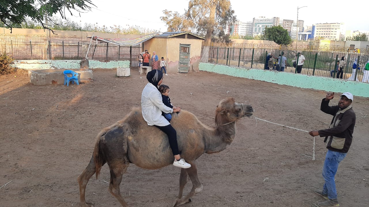 امتداء الجمال بحديقة الحيوان