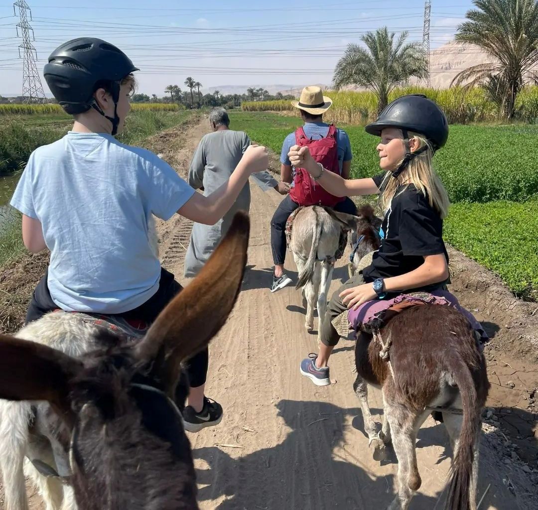 الأطفال الأجانب يشاركون في سفاري الخيول بين الزراعات