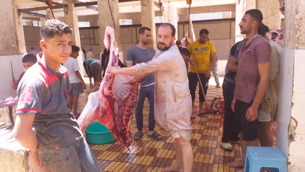 استمرار ذبح الاضاحي بكفر الشيخ