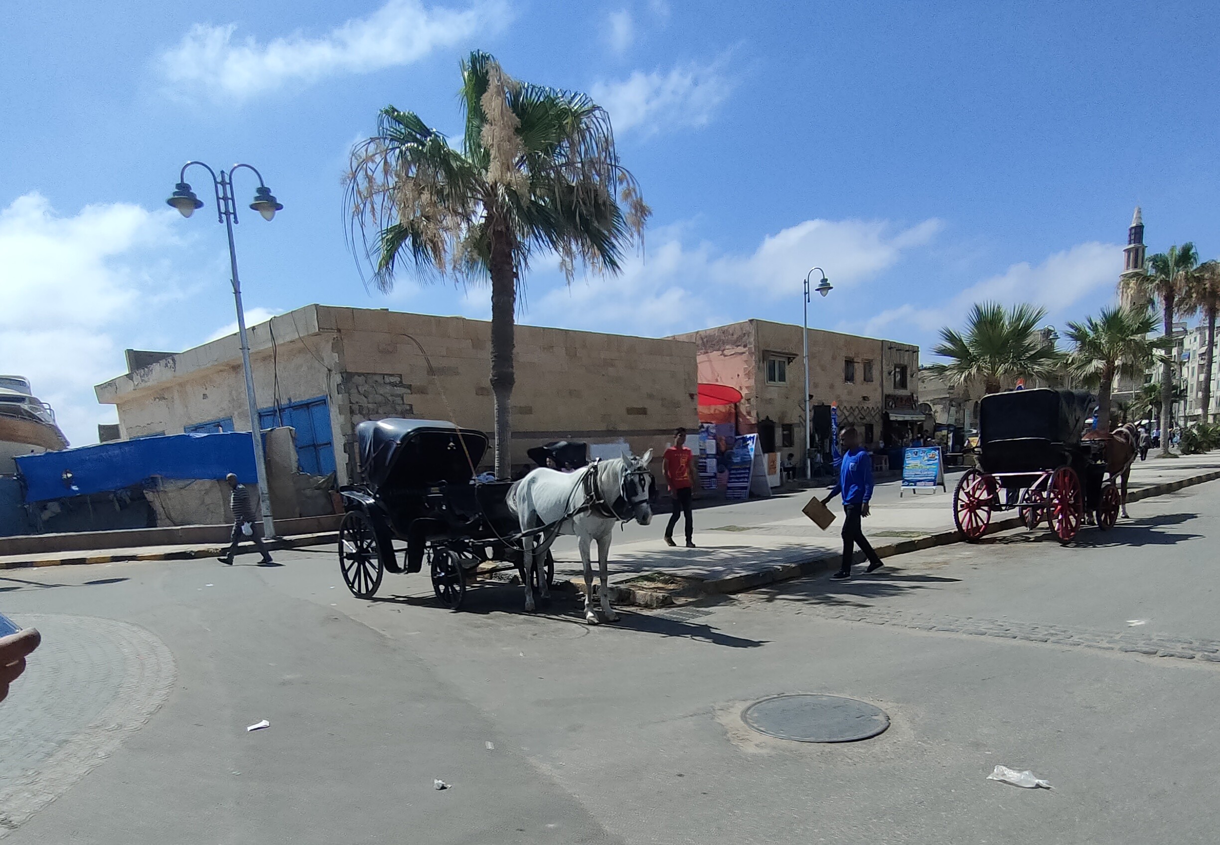 عربات الحنطور في الإسكندرية