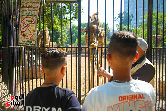 توافد الأطفال على حديقة الحيوان (2)