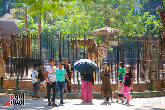 توافد الأطفال على حديقة الحيوان (3)