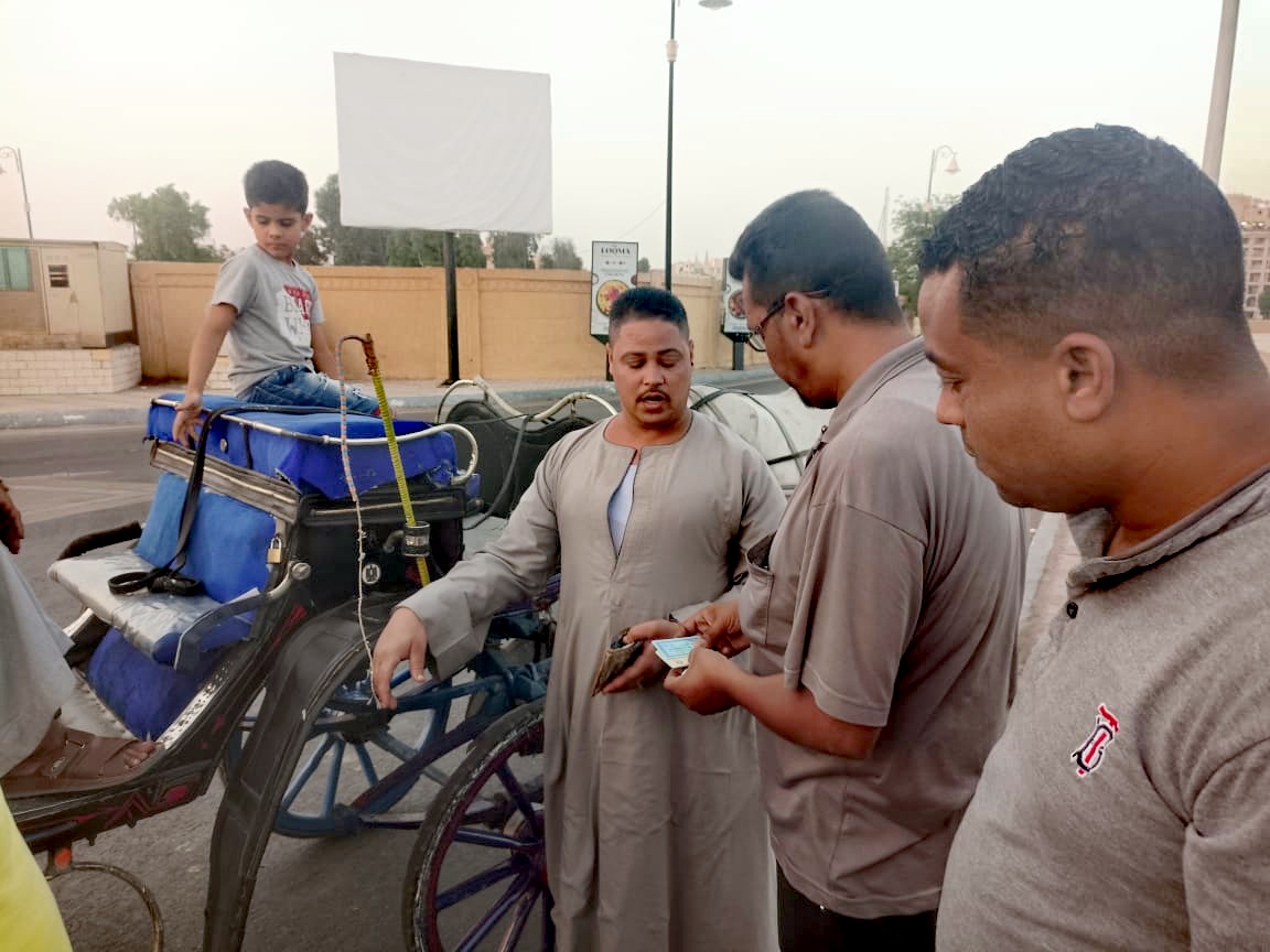 ضبط عربتين حنطور يقودها أطفال بمدينة الأقصر