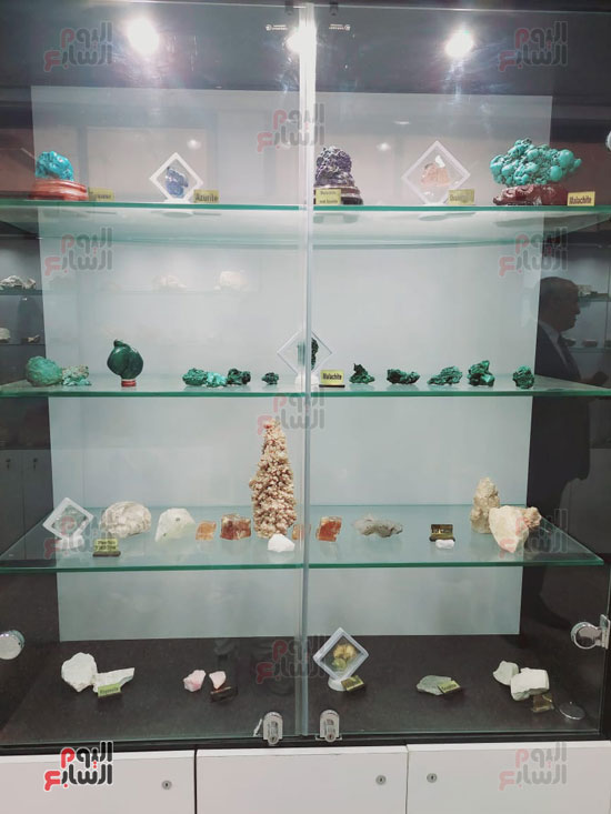 المتحف الجيولوجي بكلية العلوم بجامعة الفيوم كنز علوم الأرض (10)