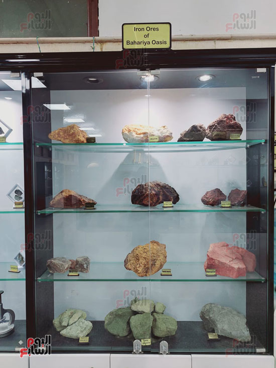 المتحف الجيولوجي بكلية العلوم بجامعة الفيوم كنز علوم الأرض (2)