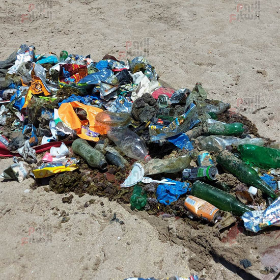 جانب-من-مبادرة-لنظافة-البيئة-البحرية-من-المهلفات-البلاستيكية-بشاطئ-السرايا-بالإسكندرية-(1)