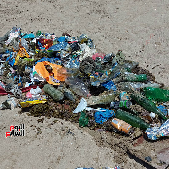 تنظيف قاع البحر بالإسكندرية من المخلفات البلاستيكية والزجاجية (5)