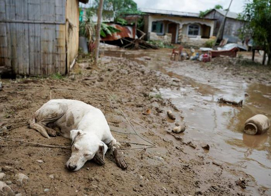 الفيضانات المدمرة في الإكوادور (11)
