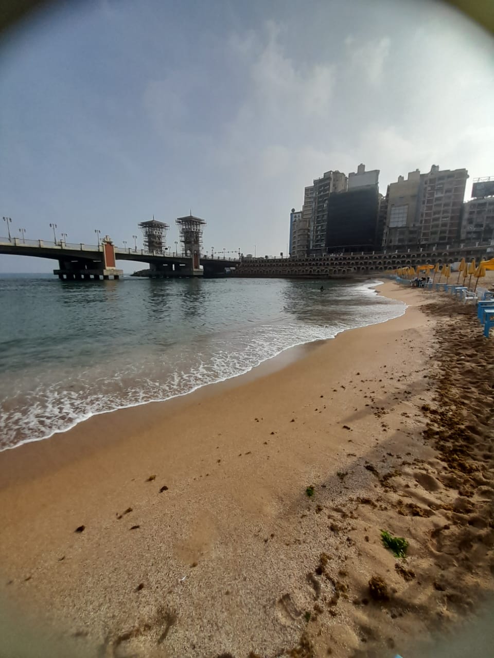 رفع الرايات الخضراء على شواطئ الإسكندرية (4)