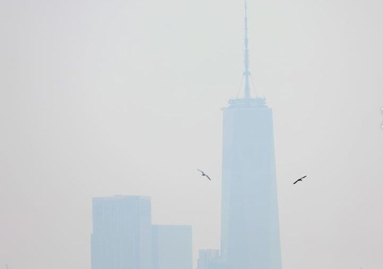 الأدخنة تغطى سماء نيويورك (4)