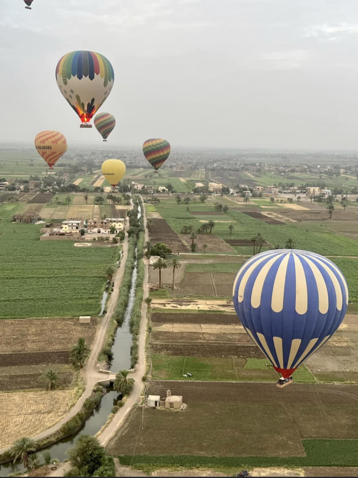 البالونات الطائرة خلال تحليقها غرب الأقصر