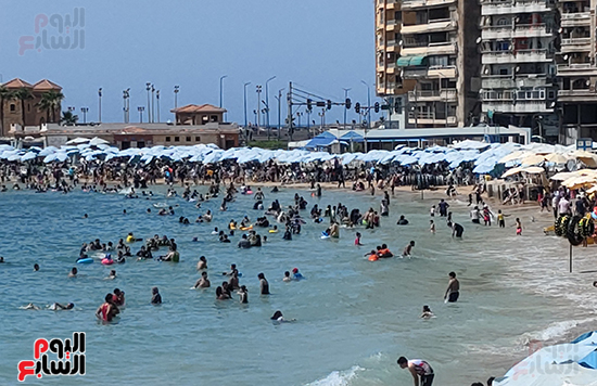 شواطئ-الإسكندرية-اليوم