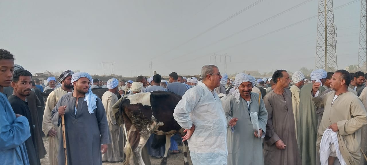 عمل اللجان على أسواق المواشي خلال أسبوع لتحصينها قبل العيد