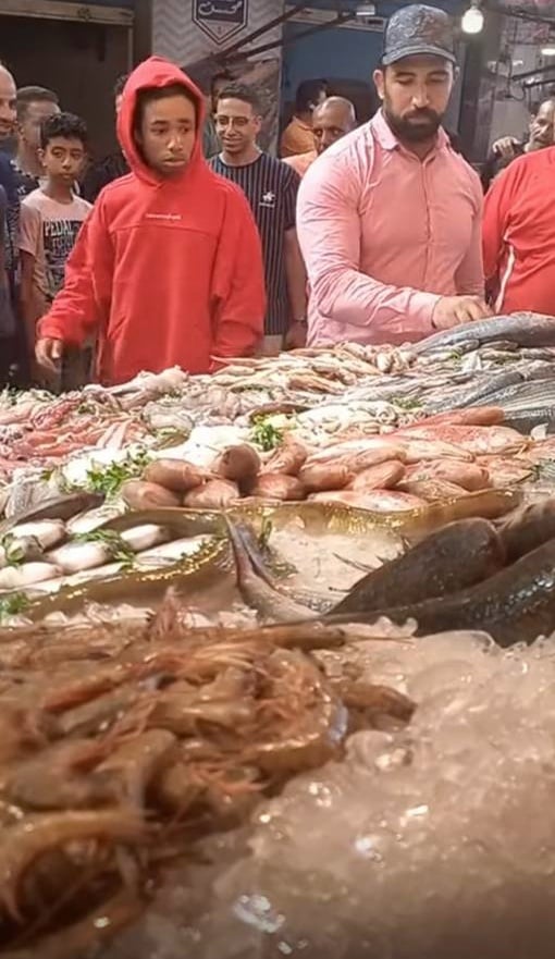روبنسون في سوق أسماك بورسعيد