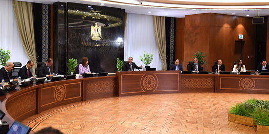 مؤتمر رئيس الوزراء (19)