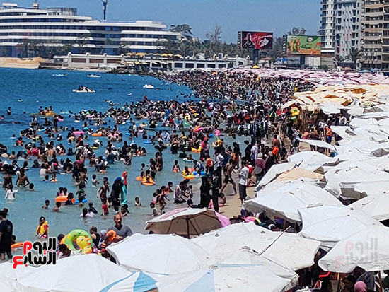 اقبال-كبير-علي-شواطئ-الإسكندرية-اليوم اقبال-كبير-علي-شواطئ-الإسكندرية-اليوم