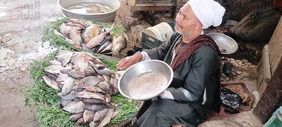 سوق-السمك-بالقيساريه--(4)