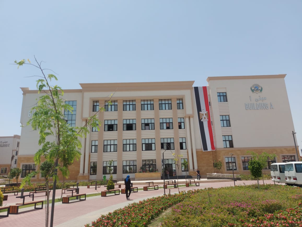 جامعة الإسماعيلية الجديدة الإهلية (2)